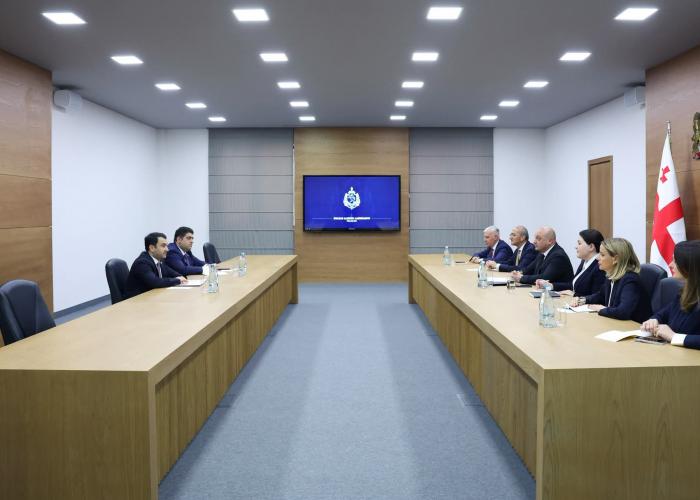 ICDO Secretary-General Meets with Deputy Minister of Internal Affairs of Georgia and Head of the Emergency Management Service