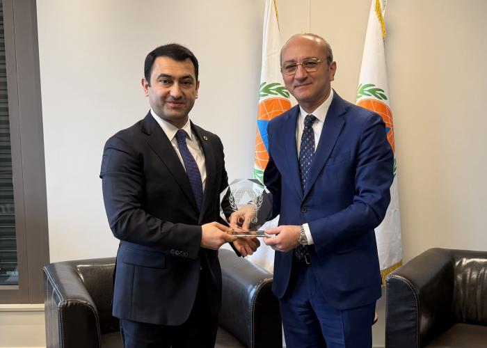 التقى الأمين العام للمنظمة الدولية للحماية المدنية (ICDO) بالممثل الدائم لجورجيا لدى مكتب الأمم المتحدة في جنيف