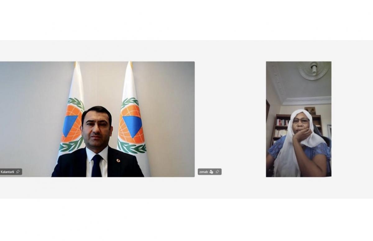 ICDO and the Republic of Chad Discuss Expanding Cooperation in Civil Protection
