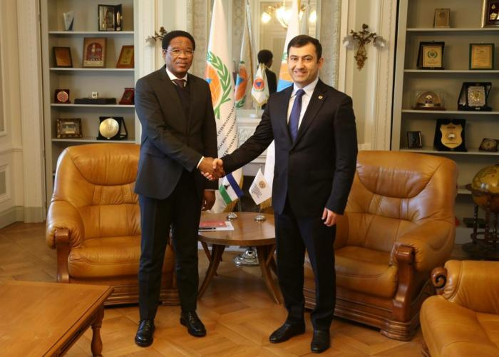 ICDO Secretary-General Meets with the Permanent Representative of the Kingdom of Lesotho to the United Nations Office in Geneva