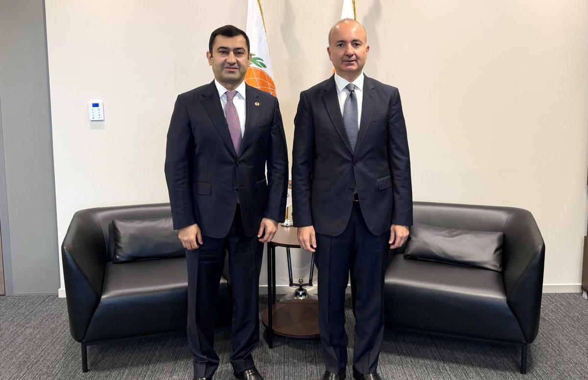 ICDO Secretary-General Meets Azerbaijan’s Permanent Representative to the UN and Other International Organizations in Geneva